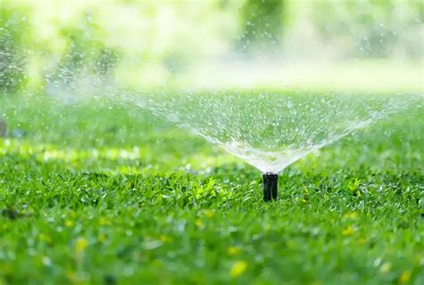 sprinkler leaking from riser|7 Common Sprinkler System Problems and How to。